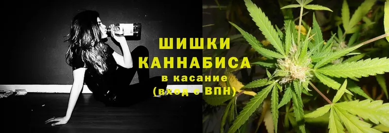 Канабис Bruce Banner  Покровск 